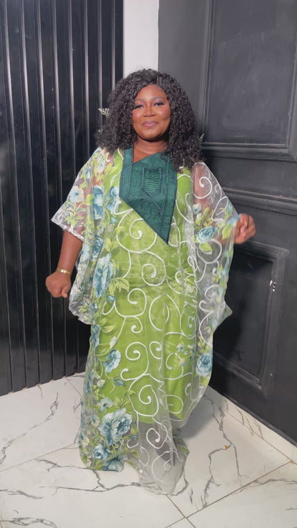 Chic Organza bubu dress